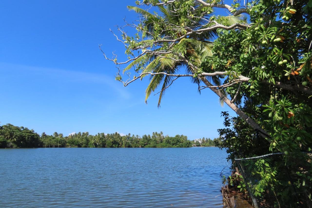 Lake Life Villa Ambalangoda  Dış mekan fotoğraf